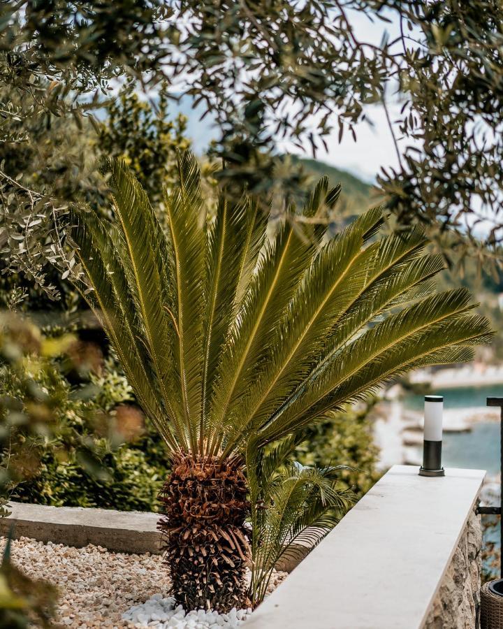 Villa AMore Brela Esterno foto